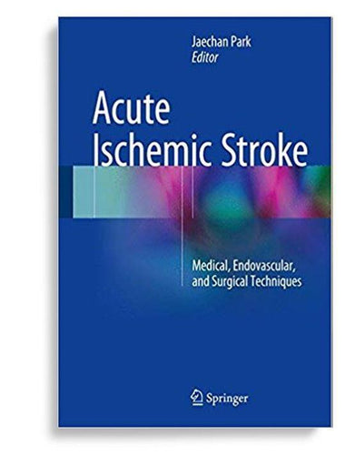 Acute Ischemic Stroke Medical, Endovascular, and Surgical Techniques