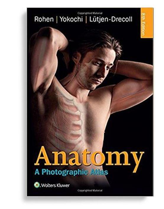Anatomy: A Photographic Atlas 8th Edition by Johannes W. Rohen