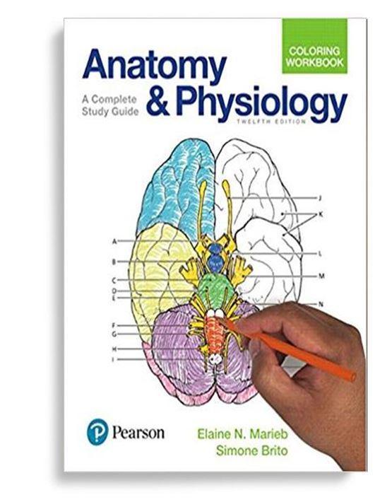 Anatomy and Physiology Coloring Workbook: A Complete Study Guide 12th Edition by Elaine N. Marieb (  )