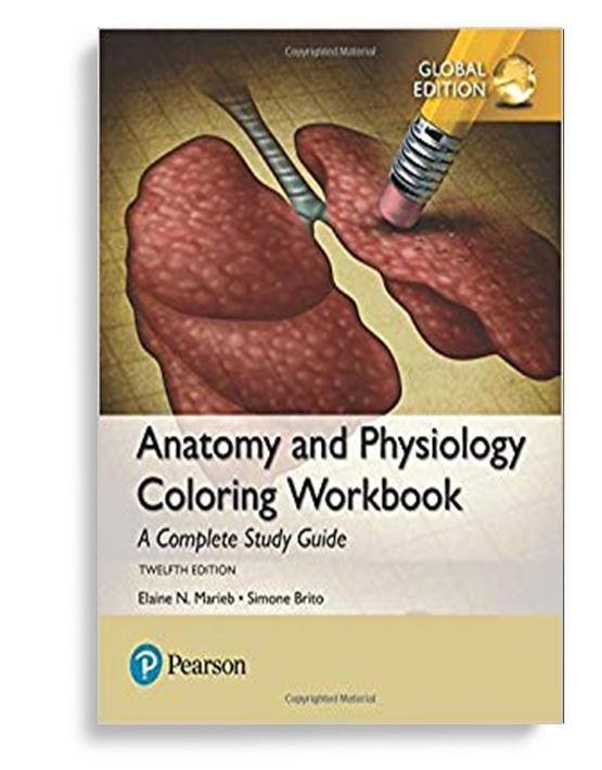 Anatomy and Physiology Coloring Workbook: A Complete Study Guide, Global Edition 12th Edition